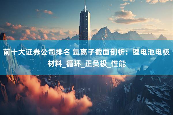 前十大证券公司排名 氩离子截面剖析：锂电池电极材料_循环_正负极_性能